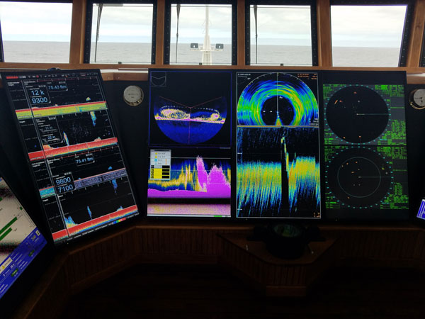 Simrad by Kongsberg tweet media