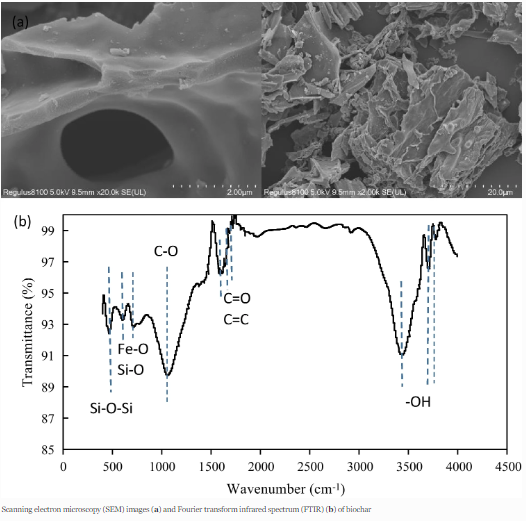 Journal_JSSPN's tweet image. 📢New article in our #BiocharCollection

Influence of #Rice Straw #Biochar Application on Soil Nutrient Dynamics and Rice Productivity Under Different #Irrigation Regimes

Read at rdcu.be/dbOf4

See the Collection: link.springer.com/collections/ga…