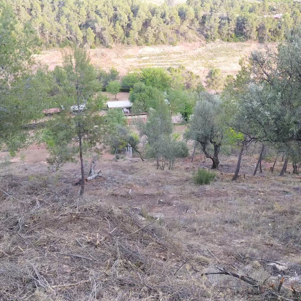 També han finalitzat les actuacions de neteja i desbrossat del  voltants del nucli urbà i de les finques municipals on hi ha la deixalleria i l'àrea de lleure, en el marc dels ajuts per a la prevenció d'incendis!