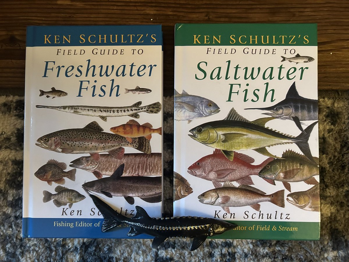 My SO sure knows good birthday gifts for me when he sees them! (Yes, that is a small sturgeon statue☺️)