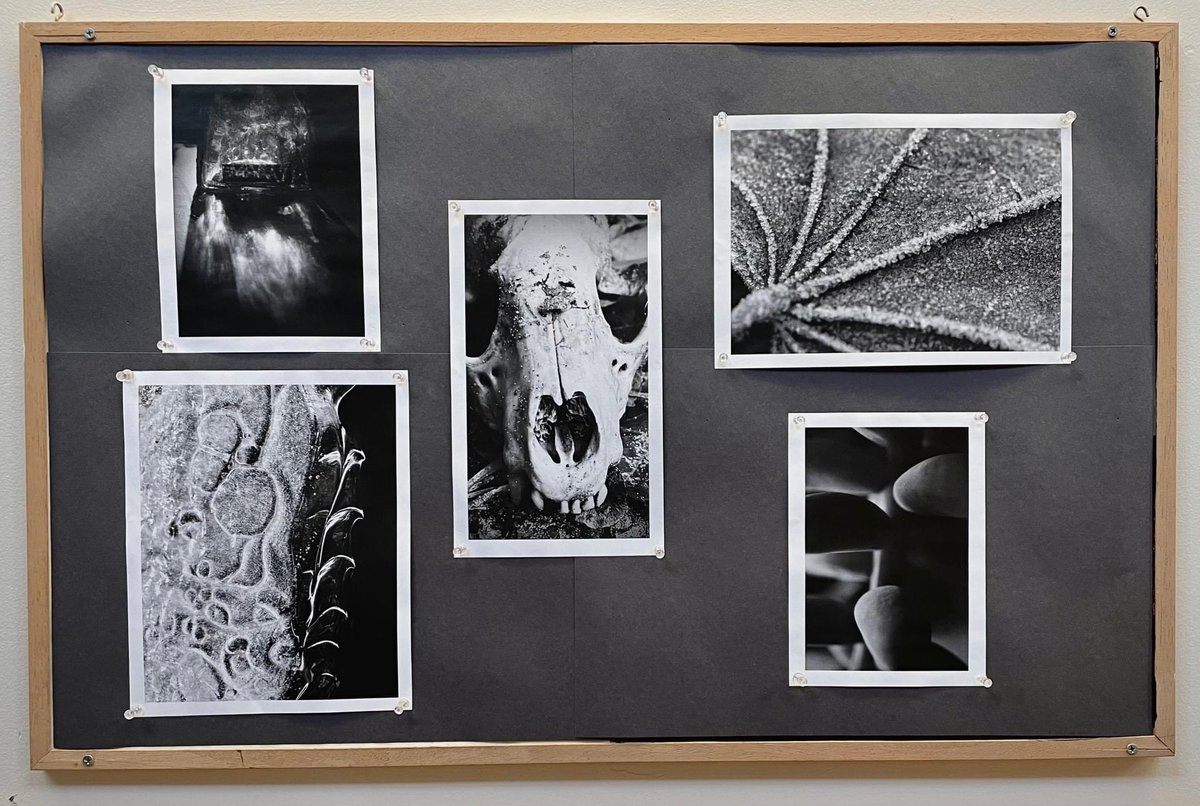 Friends of the Arts tweet media