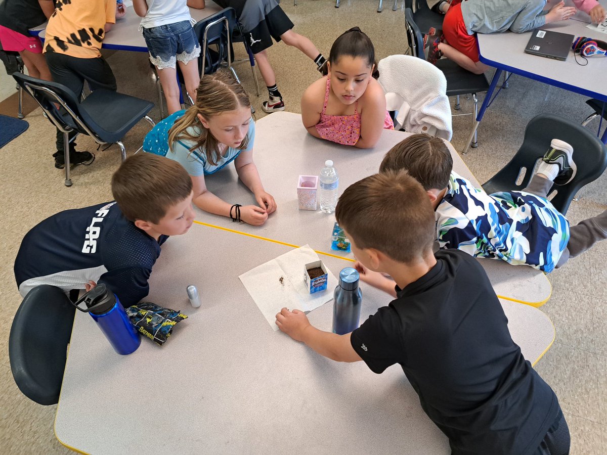 Mrs. Ryan tweet media