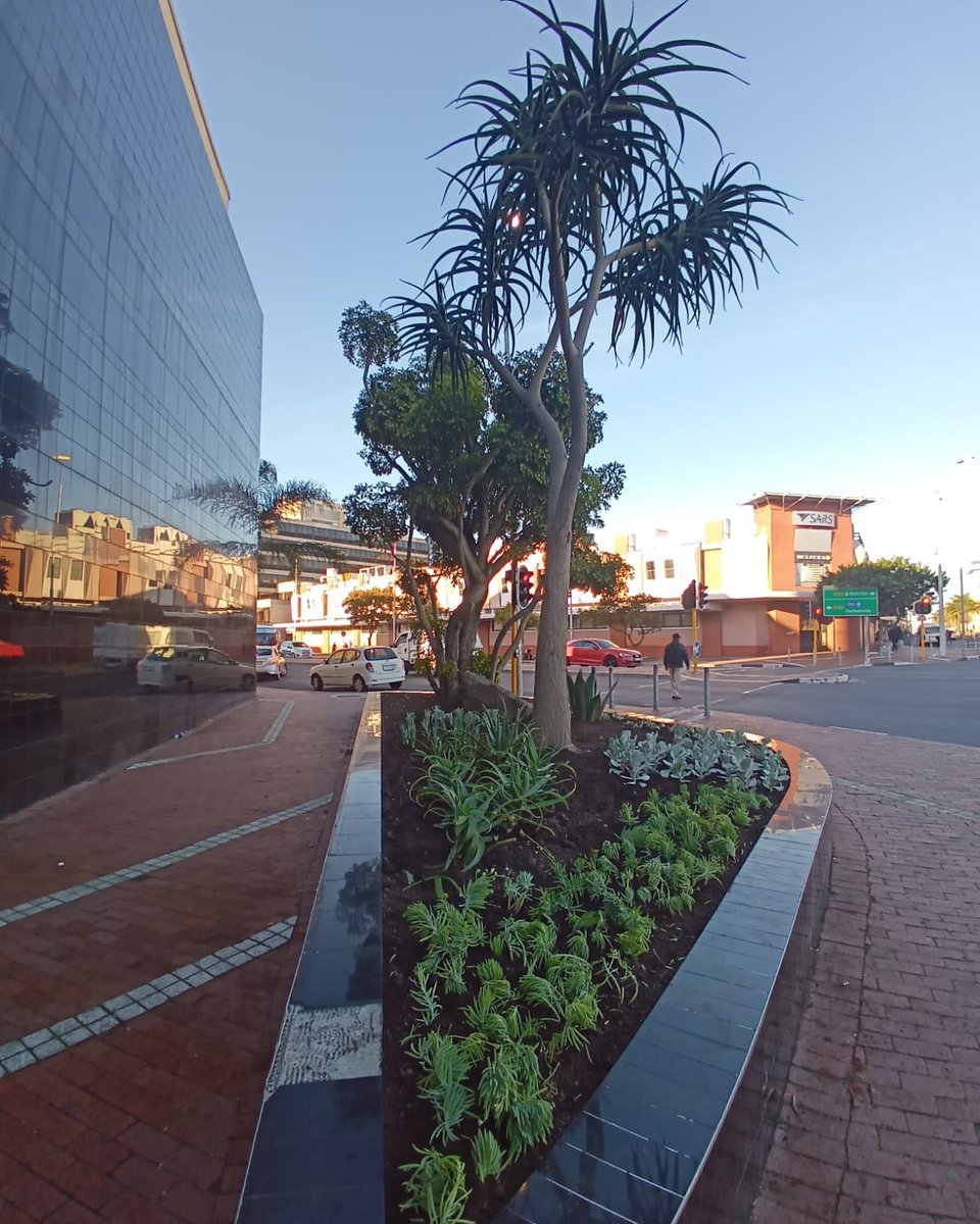 gtp_the's tweet photo. Exceptional work by our amazing better. bellville. together. team on planting new gardens in and around the Bellville region. Has anyone spotted the new gardens and our team in our vibrant blue better. bellville. together. t-shirts lately?

#betterbellvilletogether #myGTP #CoCT https://t.co/H8N0Za7gEq