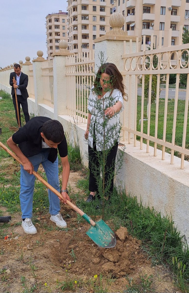 Ümummilli Lider Heydər Əliyevin anadan olmasının 100 illik yubileyi 2023-cü il 'Heydər Əliyev ili' münasibəti ilə Cabrayıl Daş Veysəlli kənd kulubu və Zəngilan rayon 3 nömrəli  tam orta məktəbin Şagird və Müəllimələriylə birlikdə ağacəkmə aksiyası təşkil edildi.