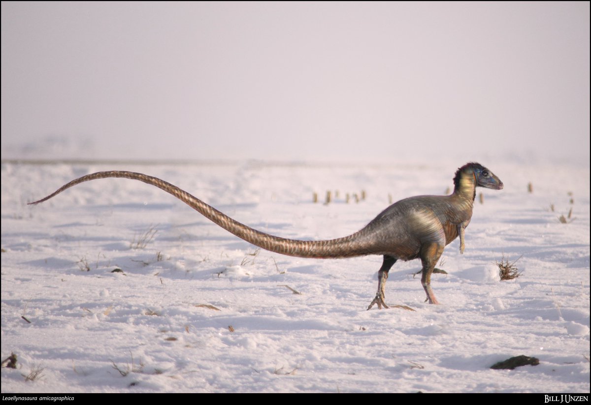 Orribec's tweet photo. Leaellynasaura.

Early Cretaceous of Antarctic Australia. https://t.co/dWXx040FeK