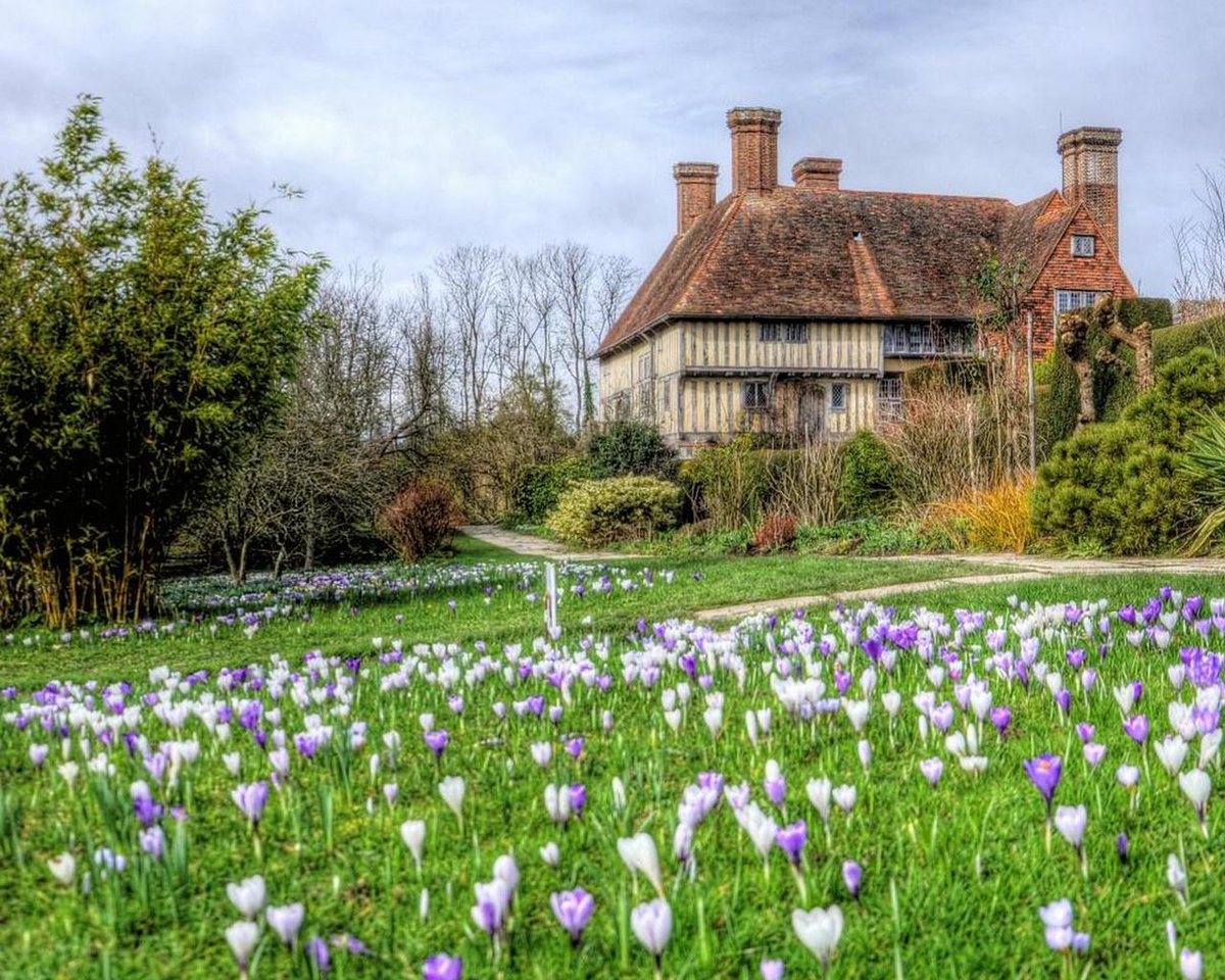 Bambi Bagshaw (@bagshawbambi) on Twitter photo 