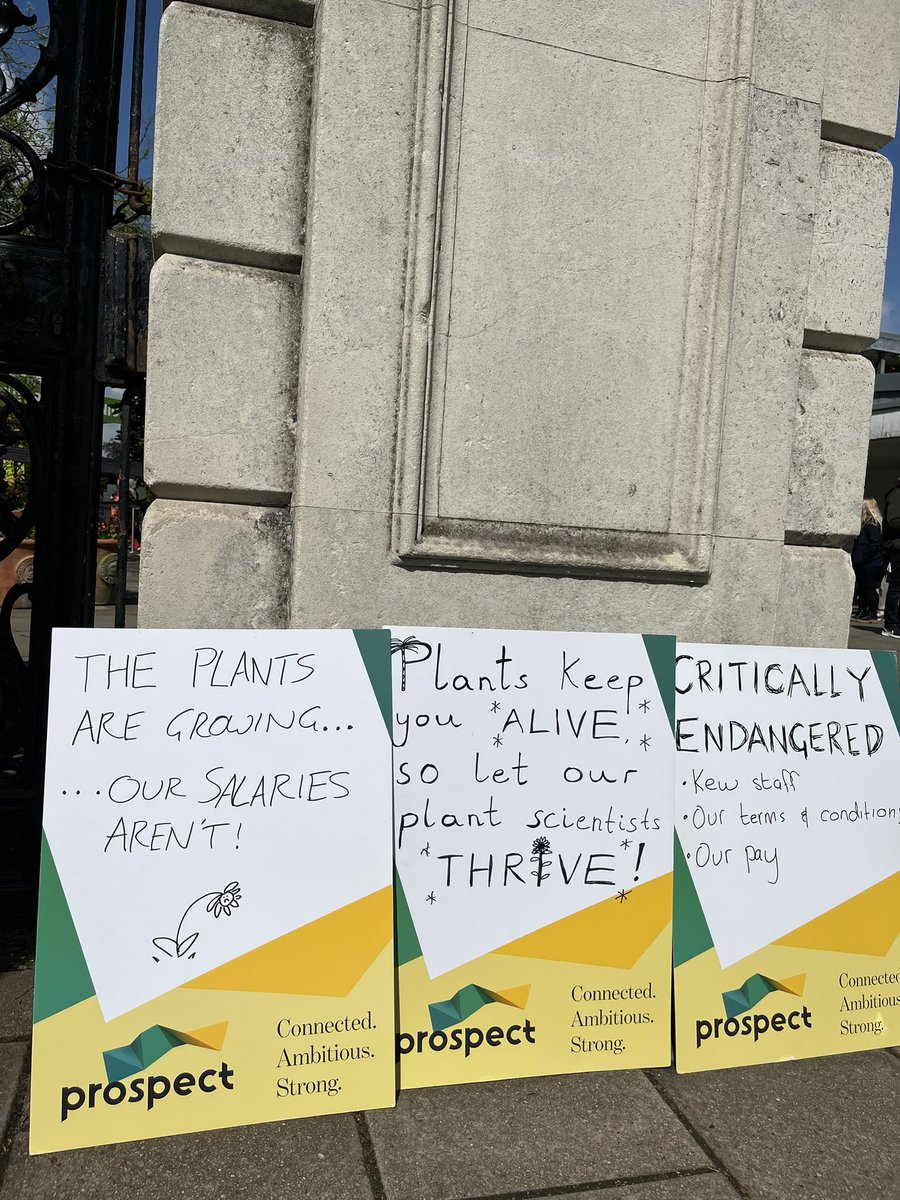 Prospect Union tweet media