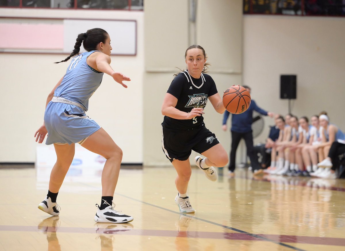 DW Photo tweet media