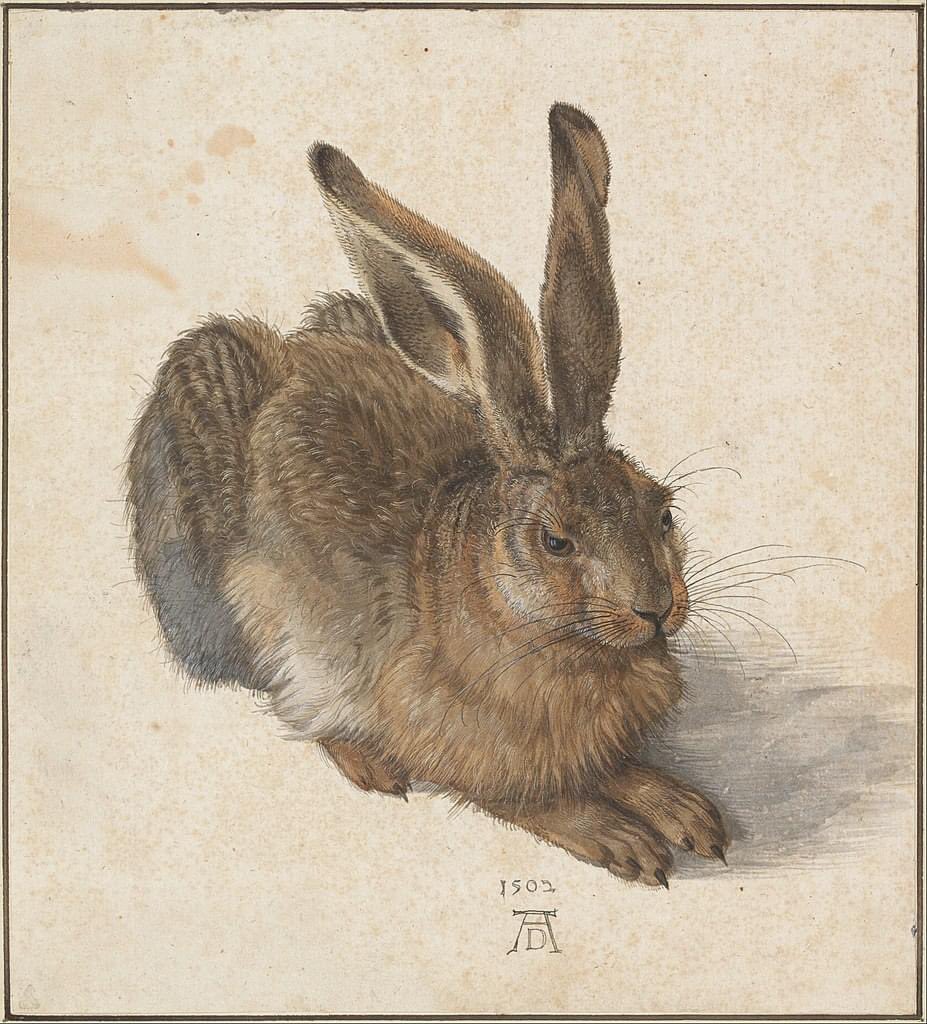 A realistic #watercolor / #bodycolor by #AlbrechtDürer, 'Young Hare' (1502), Albertina, #Vienna 

#watercolorwednesday #WildlifeWednesday #apoapromotionsandartisticcollections #AppreciationOfArtistry #apoapromotions #apoaartistic #apoa #watercolour #painting #art #rabbit #artist