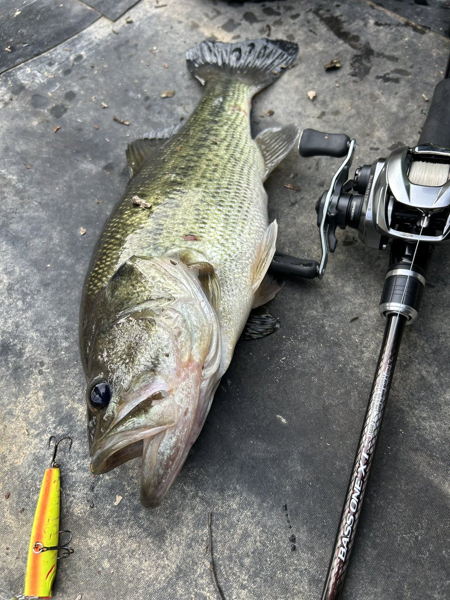 久しぶりの釣りでやりました！！！！
トップでぶりぶりのバスです😎