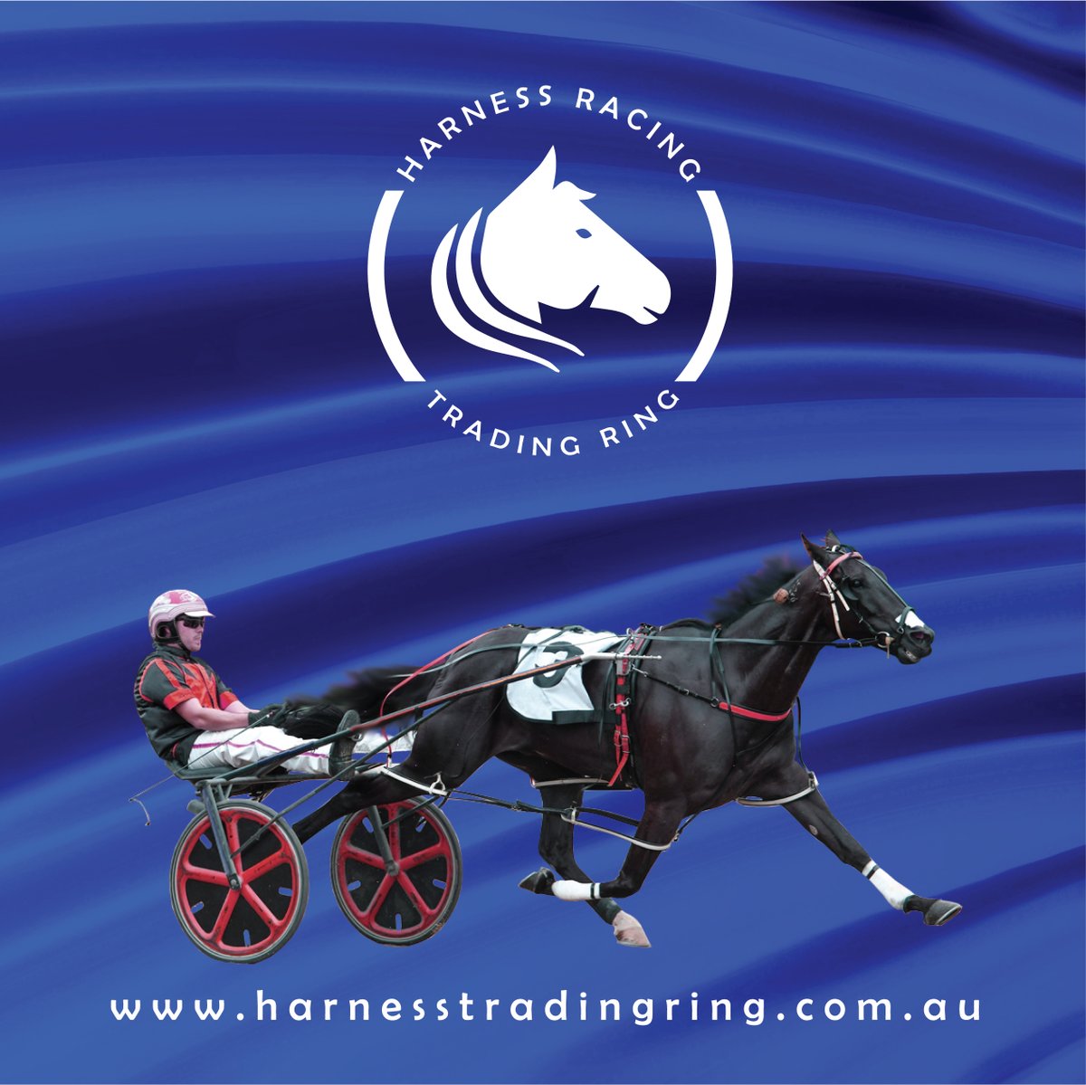 TradingRing's tweet photo. POSTING IMAGES WITH FREE ADVERTISEMENTS

Upload up to 3 images of what you're selling with your next free Classifieds Ad on the Trading Ring.  Visit the Harness Racing Trading Ring website https://t.co/92PJrR6eMo > https://t.co/Yys30rmY6I https://t.co/HG1Wtt7Xve