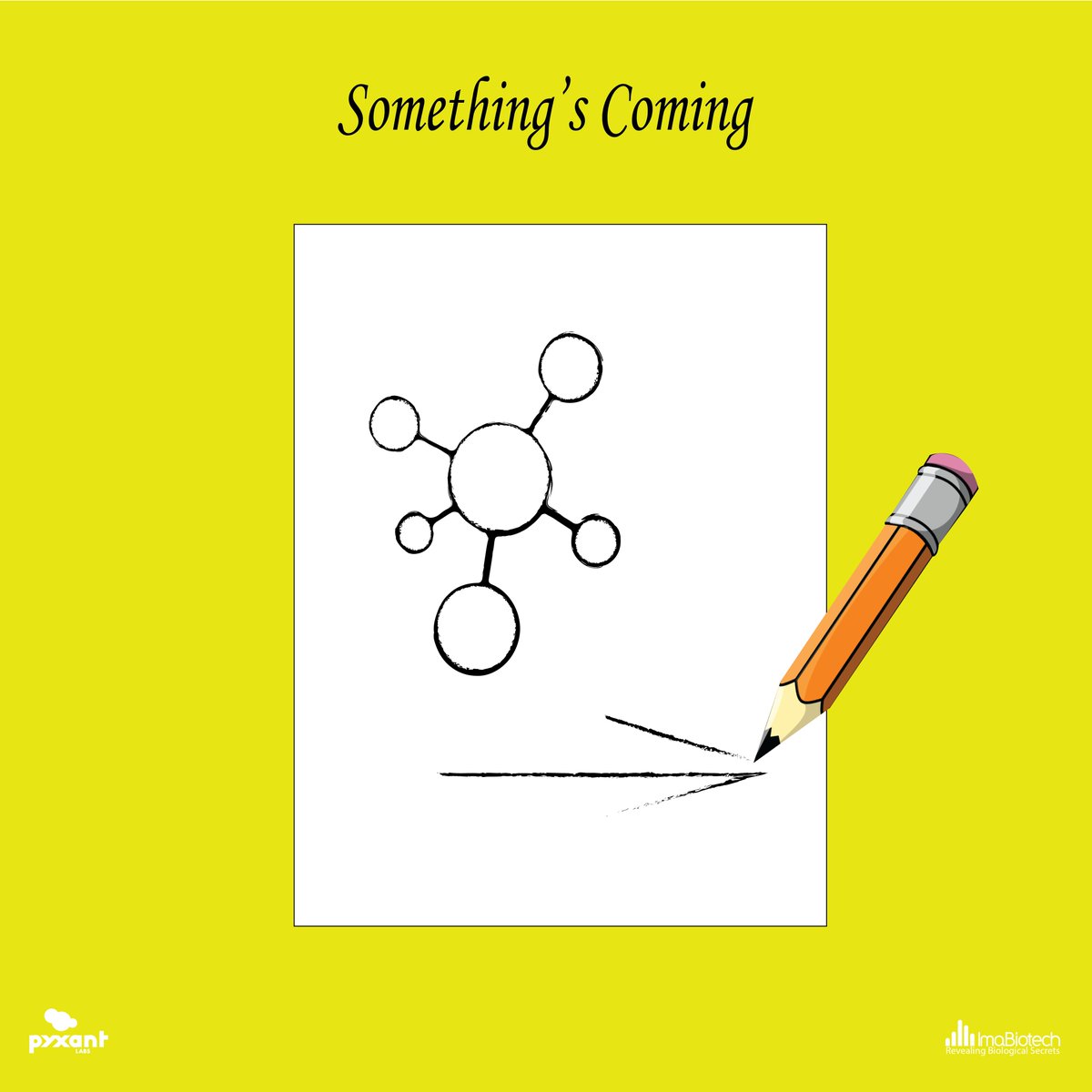Any guesses on what we drew? We're announcing the big news this month. Sign up here: imabiotech.com/contact-imabio… #somethingscoming #pyxantimabiotech