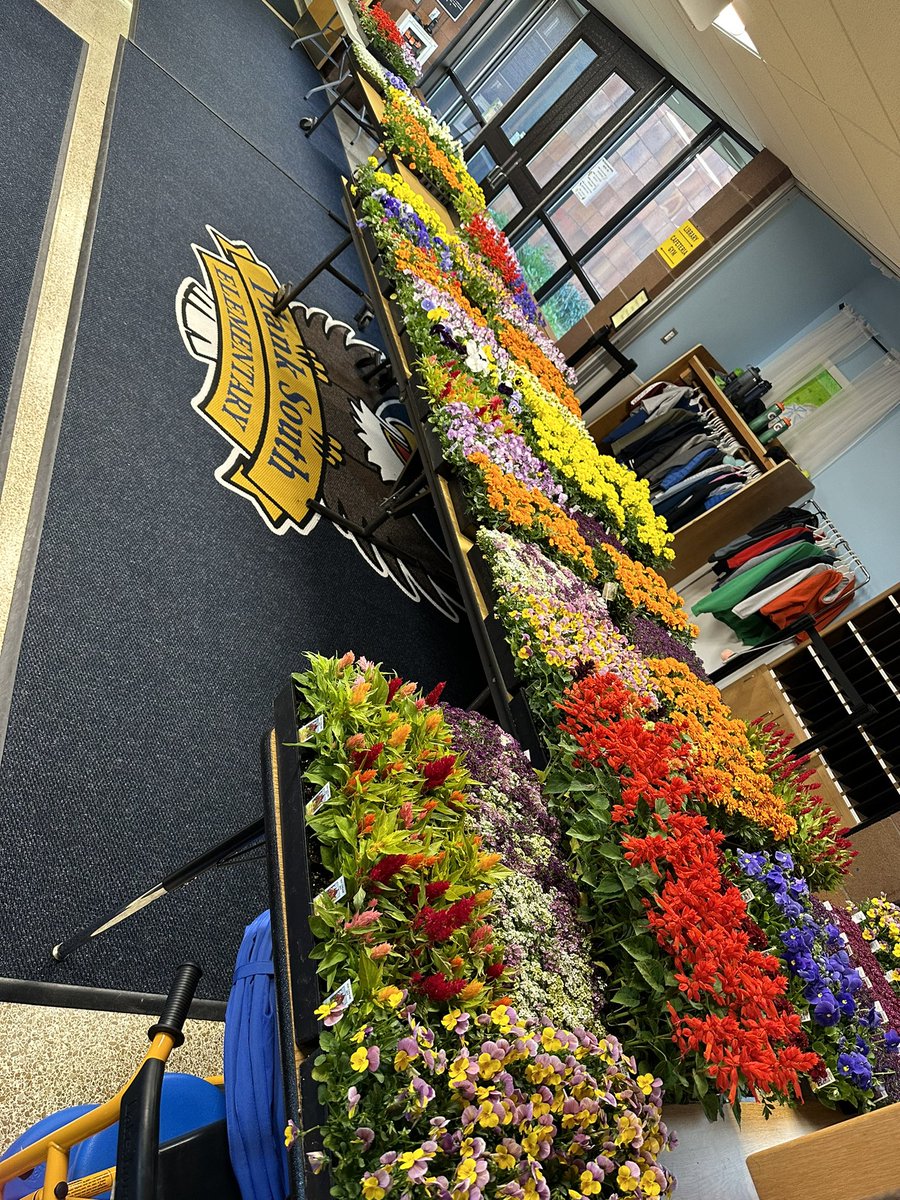 Katie Shaffer, NBCT (@cr8teachinspire) on Twitter photo Our <a href="/planksouthptsa/">Plank South PTSA</a> is amazing! What a beautiful way to walk into our entryway! Can’t wait to bring my kids shopping ❤️ Our <a href="/planksouthptsa/">Plank South PTSA</a> is amazing! What a beautiful way to walk into our entryway! Can’t wait to bring my kids shopping ❤️