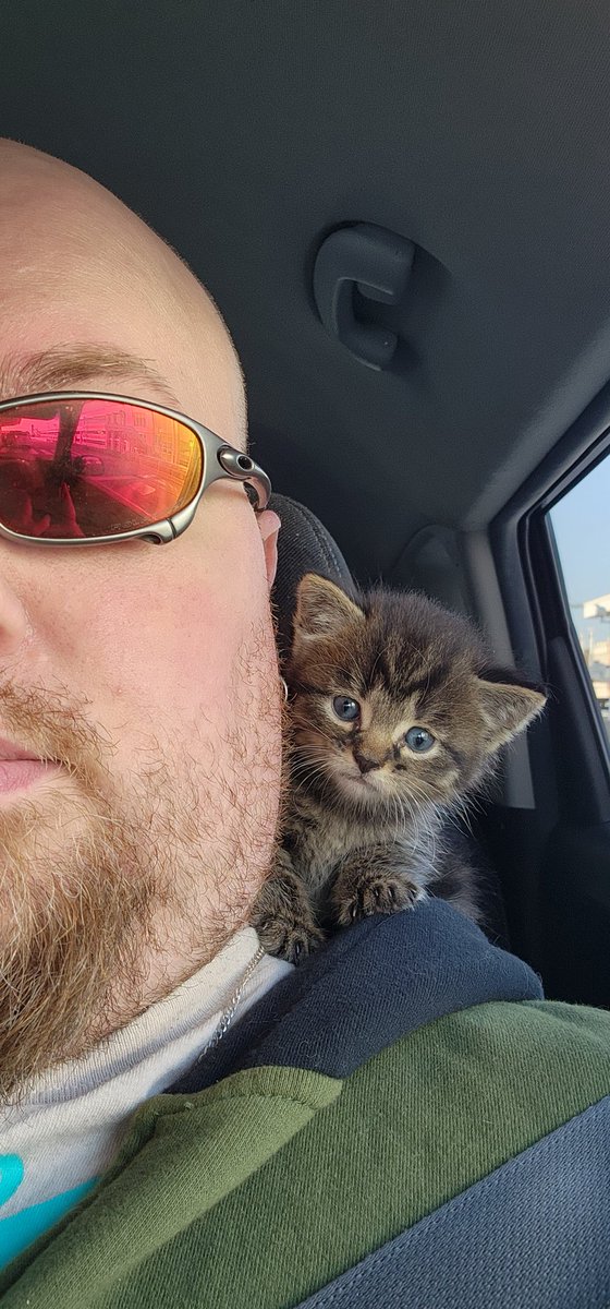 JkunPrime's tweet photo. Not how I expected to start my day https://t.co/X4KLvm2lAm