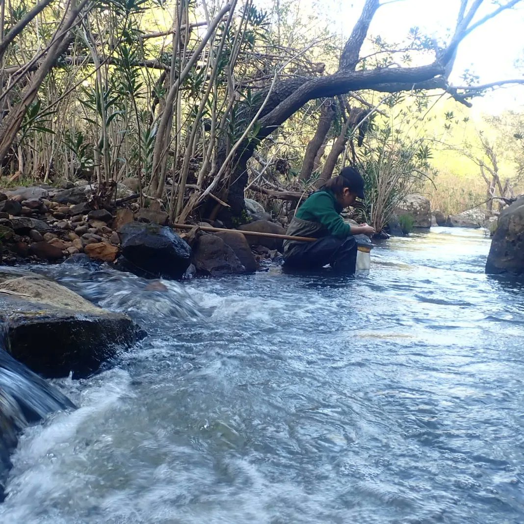 La_Almoraima's tweet photo. Hemos recibido personal de @grupotragsa que, junto con @miteco.gob están llevando acabo diferentes muestreos en Río Guadarranque y arroyos en la finca, dentro del proyecto #refcon para vigilancia de estaciones de referencia y evaluar alteraciones debidas a #CambioClimatico https://t.co/bnfBVAMVMM