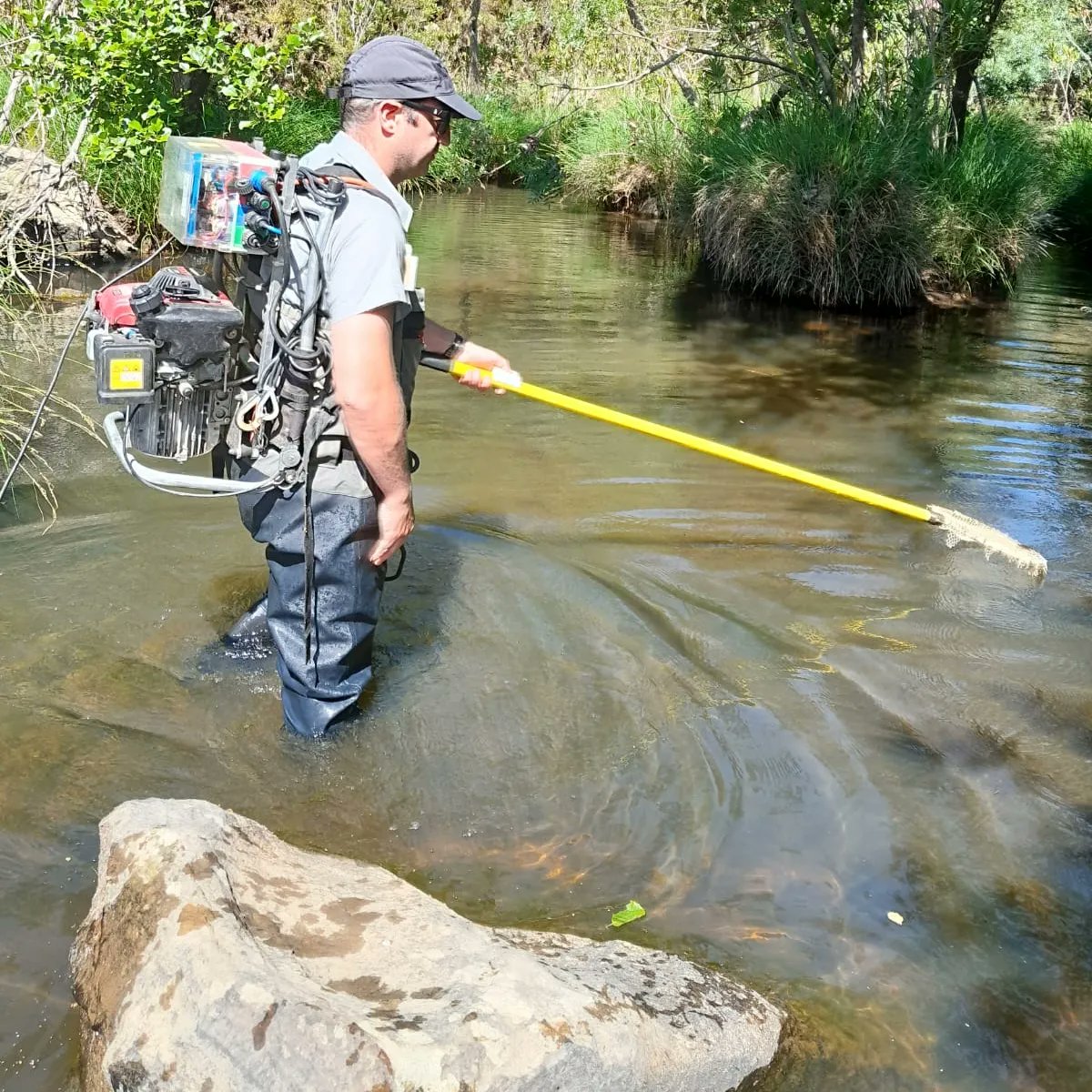 La_Almoraima's tweet photo. Hemos recibido personal de @grupotragsa que, junto con @miteco.gob están llevando acabo diferentes muestreos en Río Guadarranque y arroyos en la finca, dentro del proyecto #refcon para vigilancia de estaciones de referencia y evaluar alteraciones debidas a #CambioClimatico https://t.co/bnfBVAMVMM