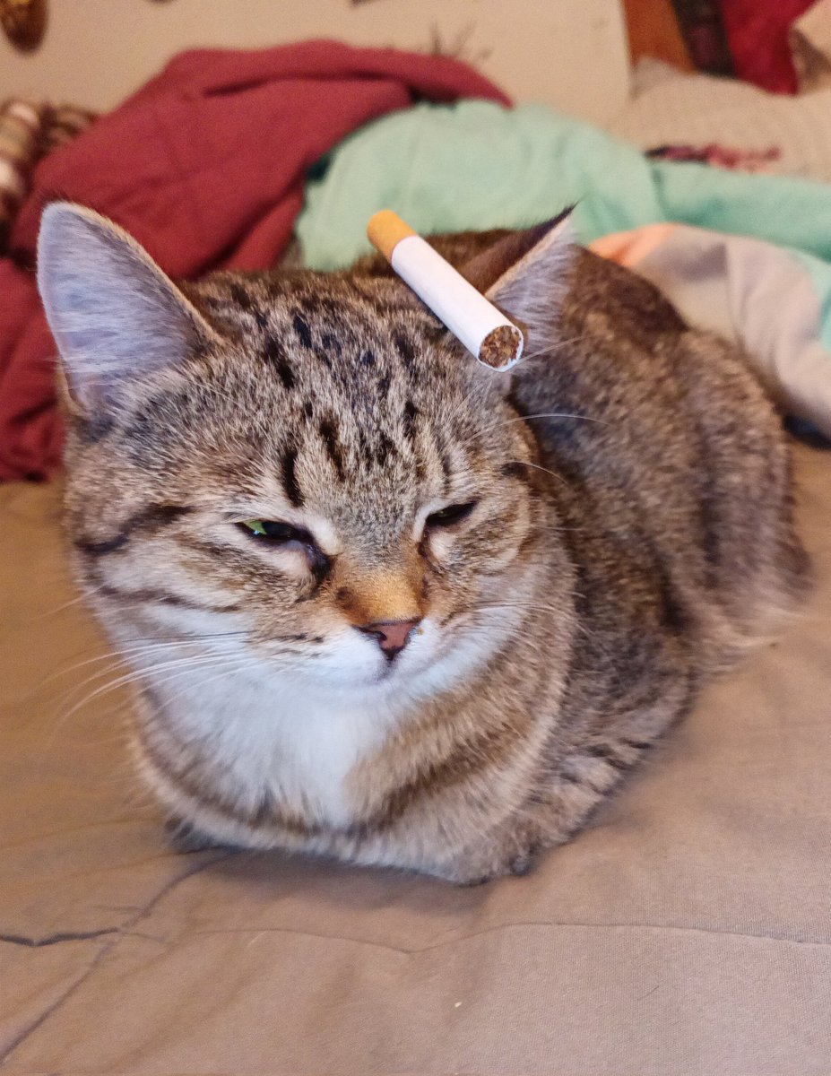 45pluto's tweet image. 