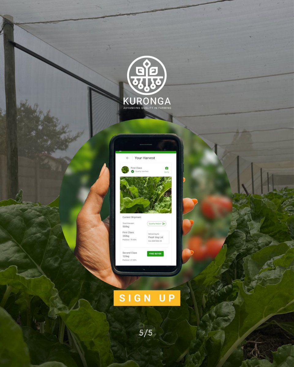 kurongakurima's tweet photo. Kuronga's AI-powered platform validates #quality &amp; #consistency, allowing farmers to #SellMore &amp; #WasteLess while delivering consistent supply. 

Sign Up: https://t.co/eFZUISHhXj 

#choosekuronga #kuronga #investinkuronga #agritech #ai #grading #agriculture https://t.co/ImAg9tVrIu