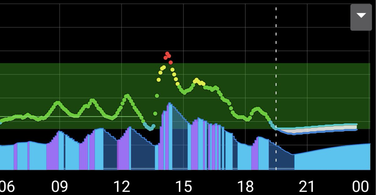 No matter how stressful the day got and unexpected meals with no carb declaration, the glucose was covered with no bolus.

Thankfully everyday for DIY AID

#stayingreen #wearenotwaiting