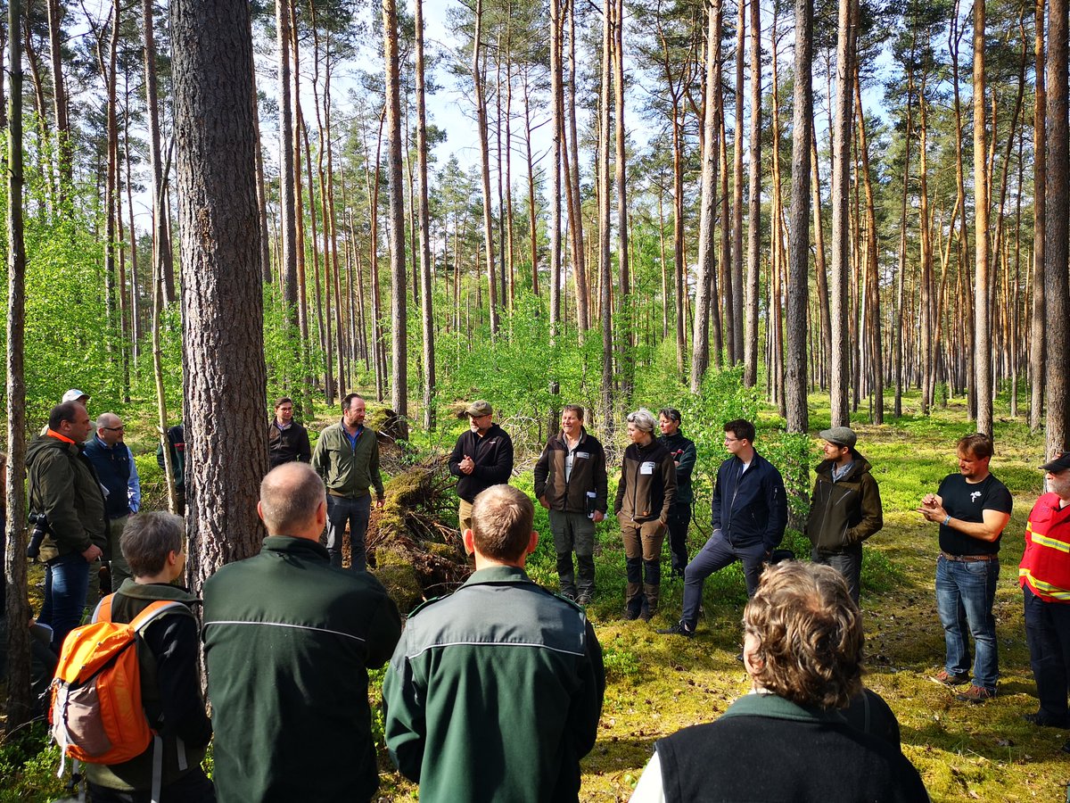 efiresilience's tweet photo. 🔥🌳Ein wunderbarer Tag um über #Waldbrand, #Prävention & #Waldumbau zu diskutieren. Außerdem schauen wir uns Brandflächen von 1975 & 2019 an.Die #Exkursion findet im Rahmen der @FNR_eV Fachtagung statt,organisiert von #WKR &Projektpartnern #Demosite #Bernstorff #BetterTogether https://t.co/xNtRNB6fRZ