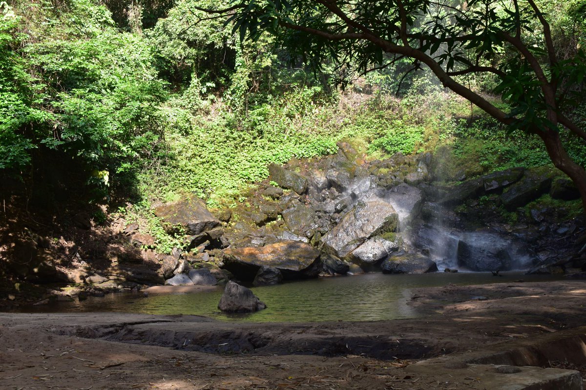 “Chronicle of Three Deaths Foretold” – A call to action to safeguard the Fouta Djallon &amp; West-African rivers

🗞️ Read the OpEd written by Erik Orsenna, Pres. <a href="/IAGF_IFGR/">Avenir Fleuves</a>, <a href="/JoelRuet/">Joel RUET</a>, Pres. <a href="/TheBridgeTank/">The Bridge Tank</a> &amp; Hamed Semega, former OMVS high-comm'r: thebridgetank.org/en/2023/04/26/…
#WaterAction