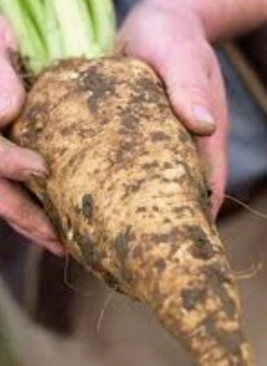 no1sunkfarmer's tweet image. To all you Beet grower @BritishSugar its worth watching #insidethefactory Although @GregWallace66 is an arse, he dropped a clanger by stating that the sugar was cane sugar when standing next to a 28t load of British beet sugar, BS sugar man wasn't happy. The program was #polo's