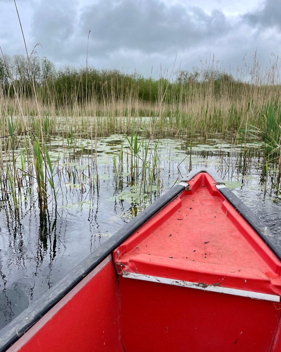 SomersetWT's tweet photo. Something VERY exciting was going on at #Westhay yesterday morning! 👀

Keep an eye on our feeds over the next couple of weeks to find out what we've been up to! 🤫

#Somerset #WesthayMoorNNR @AvalonMarshes https://t.co/M7LltlbwZY