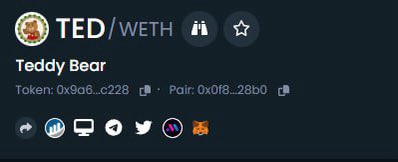 TeddyTokenEth's tweet photo. 🧸🧸🧸SOCIAL UP🧸🧸🧸 https://t.co/7kFBDw4gGj