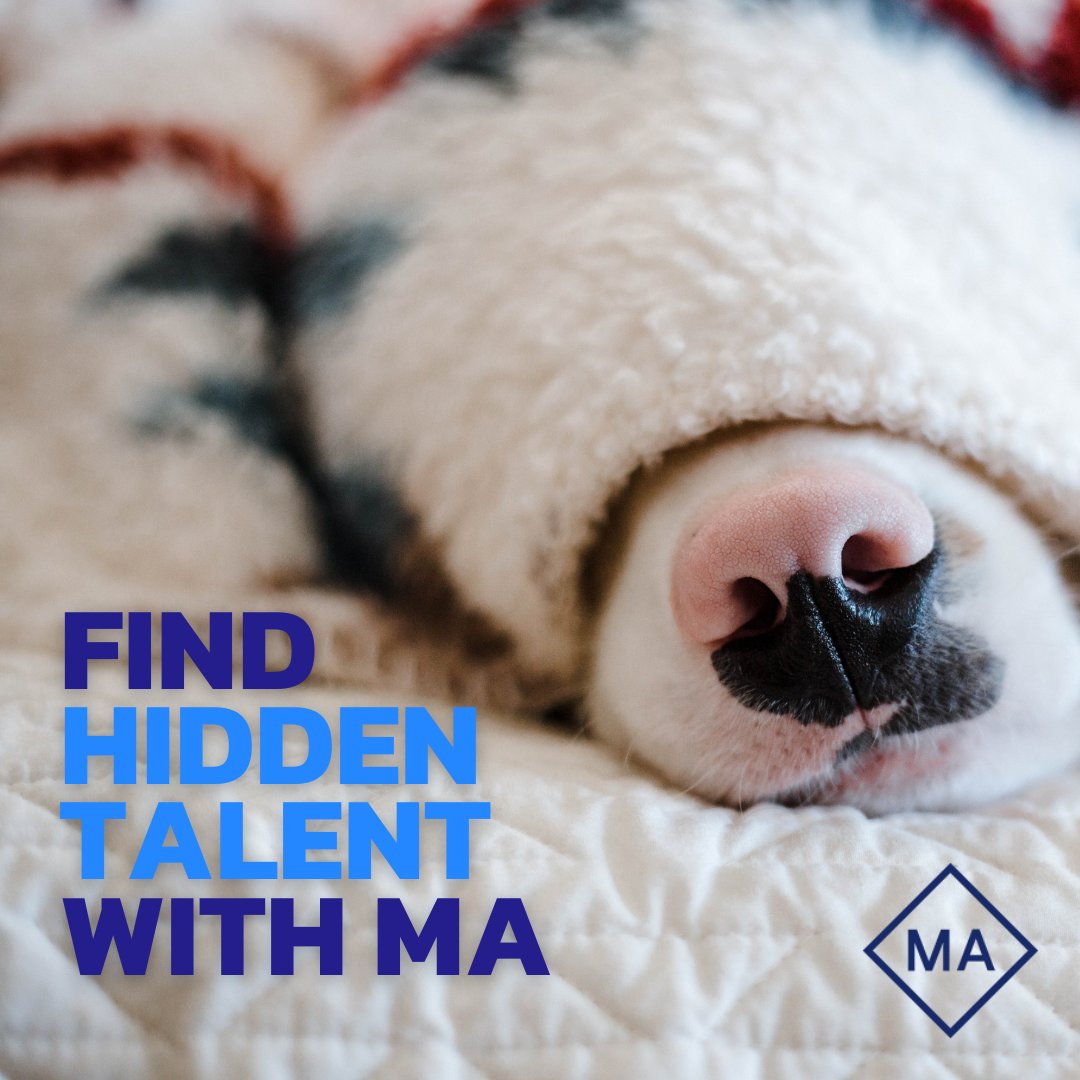 Struggling to find the right #talent for your business? 👀 

At #MasonAlexander our sourcing methods focus on the whole talent market, not just active #jobseekers 🕵️

Contact us today to see how we can help you 👉🏼 
l8r.it/gUp3

#TalentSolutions #Recruitment #TopTalent