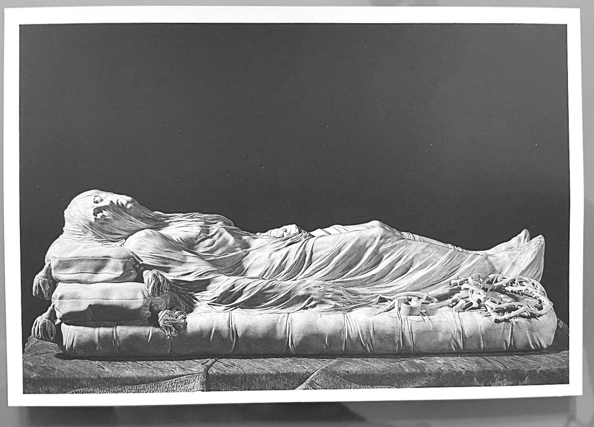 Bruna Athena tweet media