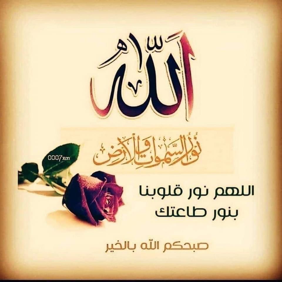 EngEm10's tweet image. 