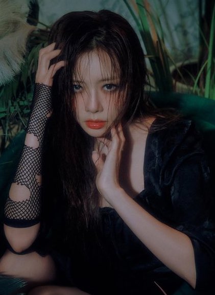 TeamMinji tweet picture