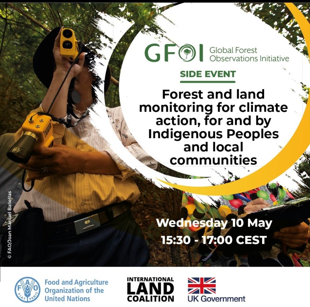 Puedes seguir el encuentro promovido por @FAOForestry de 300 especialistas forestales en la 'Global Forest Observatoris Iniciative' @gfoi_forest
Via @SoyForestal