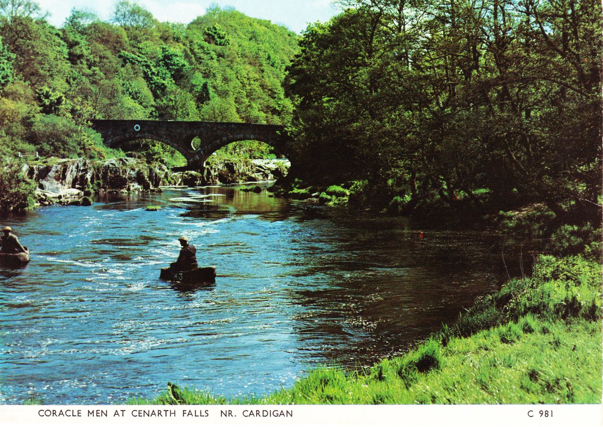 MissHistorygal's tweet photo. A colour #postcard today showing fishermen using coracle boats &amp; a net to fish at #Cenarth Falls, on the River #Teifi #Cardigan #Wales. These distinctive shaped craft have been used in the area for centuries.
PC by Judges Ltd, c1981.
#fishing #bridges #rivers #coracles #boats https://t.co/uGRfJ92iKV