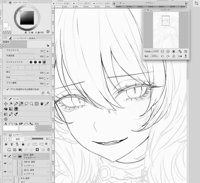 wippp