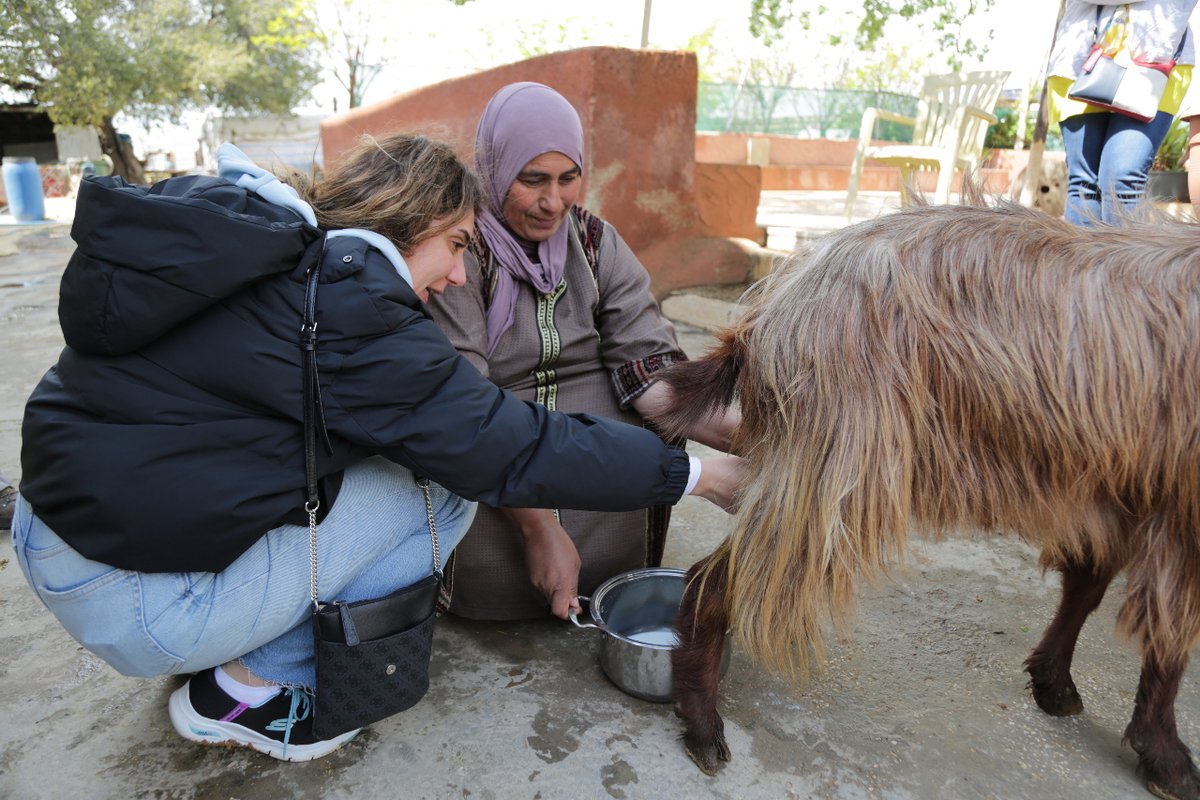 Med Pearls Project tweet media