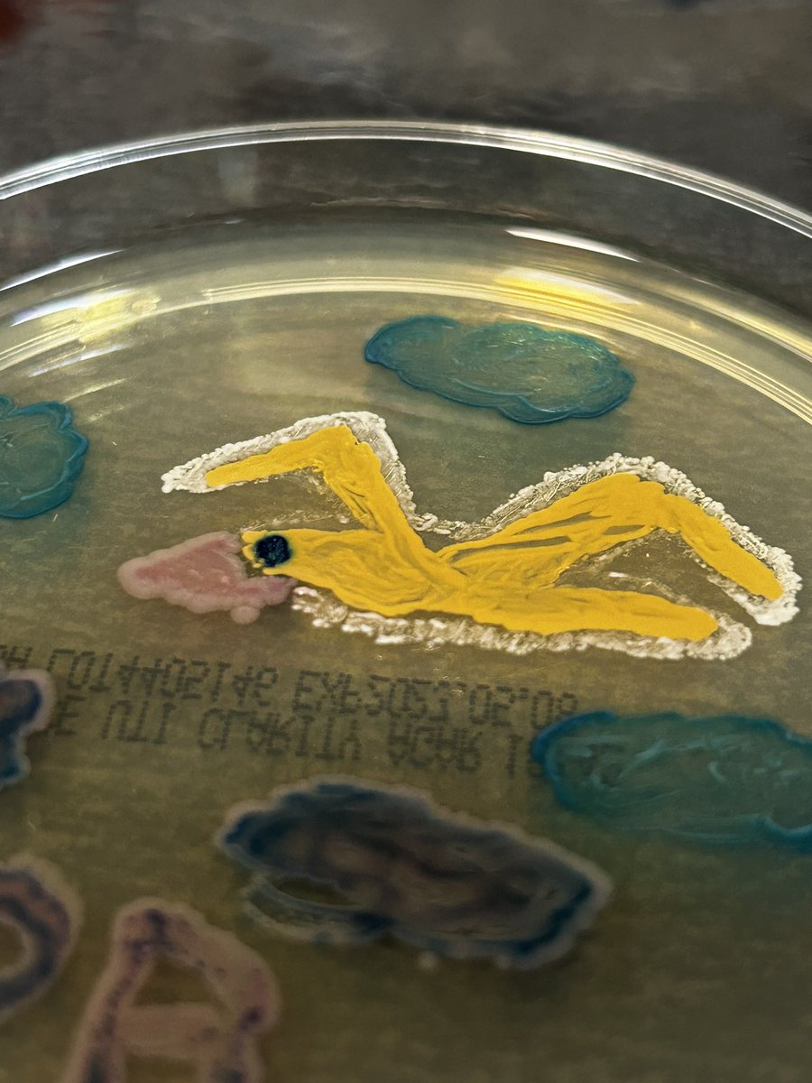 Moos ️ 🦔🍇🎶 on Twitter "Peebee and some clouds. Grown using bacteria