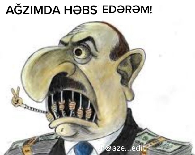 Get rid of dictator Aliyev Ilham, we don't want you.#ilhamAliyev #Dictator #Erdogan #fdy #EuropeDay2023