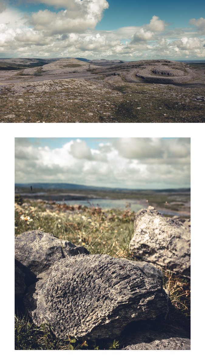 mab_2607's tweet photo. Some impressions from the beautiful #Burren #UNESCO #geopark in the west of #Ireland. The landscape is an amazing example for #karstification but it shows also some tilded and folded structures as it is visible at the #Mullaghmore hill.
@SppDome #geology #geosciences #phdlife https://t.co/5Y0coGKdNH