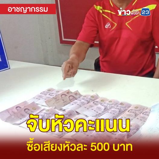 แมวเกเร tweet media