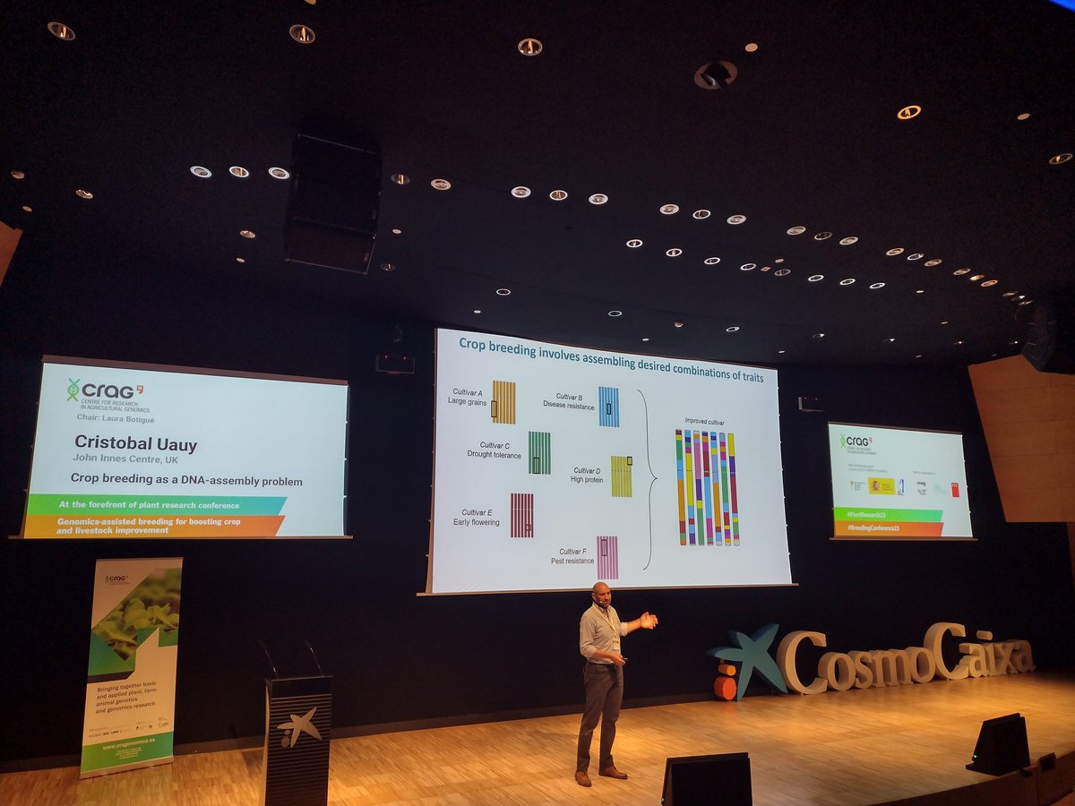 MartaCrag's tweet photo. Fascinating talk this morning of @CristobalUauy At the forefront of plant research #PlantResearch23 and Genomics-assisted breeding for boosting crop and livestock improvement #BreedingConference23 @CRAGENOMICA https://t.co/2cPy5V4xNM