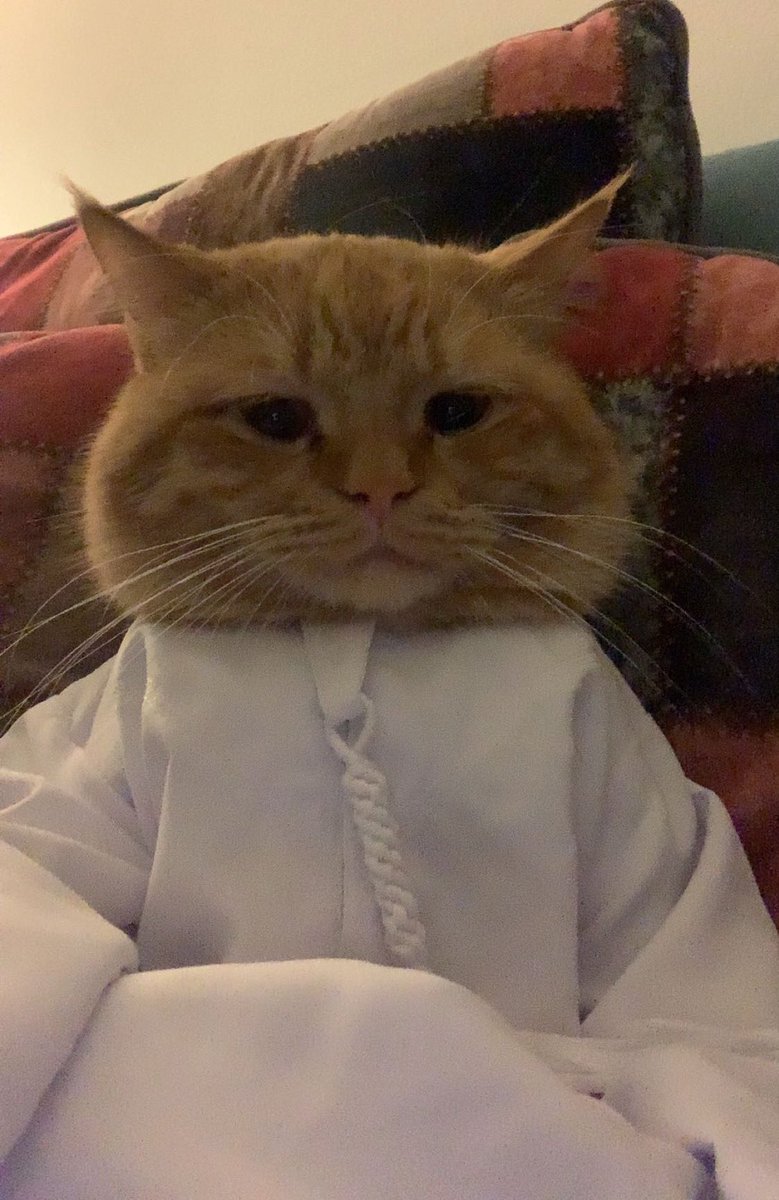 برزة الإمارات 🇦🇪 tweet media