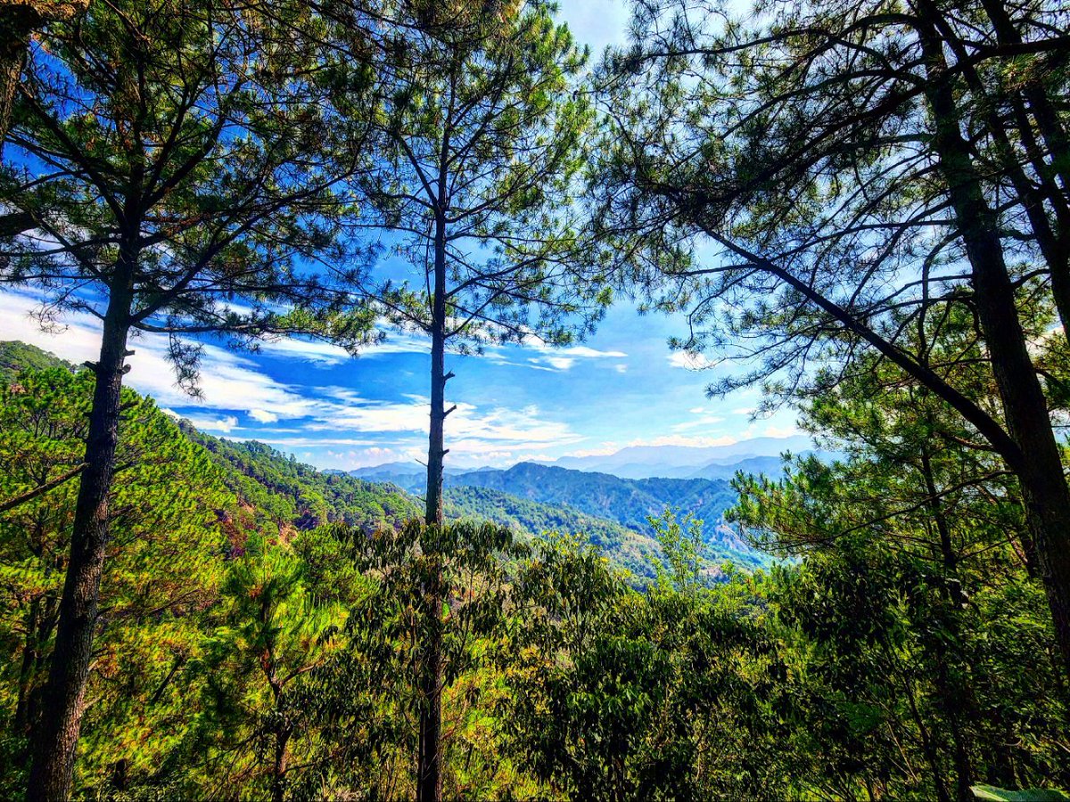 It was so good to finally visit Baguio 😍! Pine trees, night markets, and the most fabulous Cordillera views... 🇵🇭