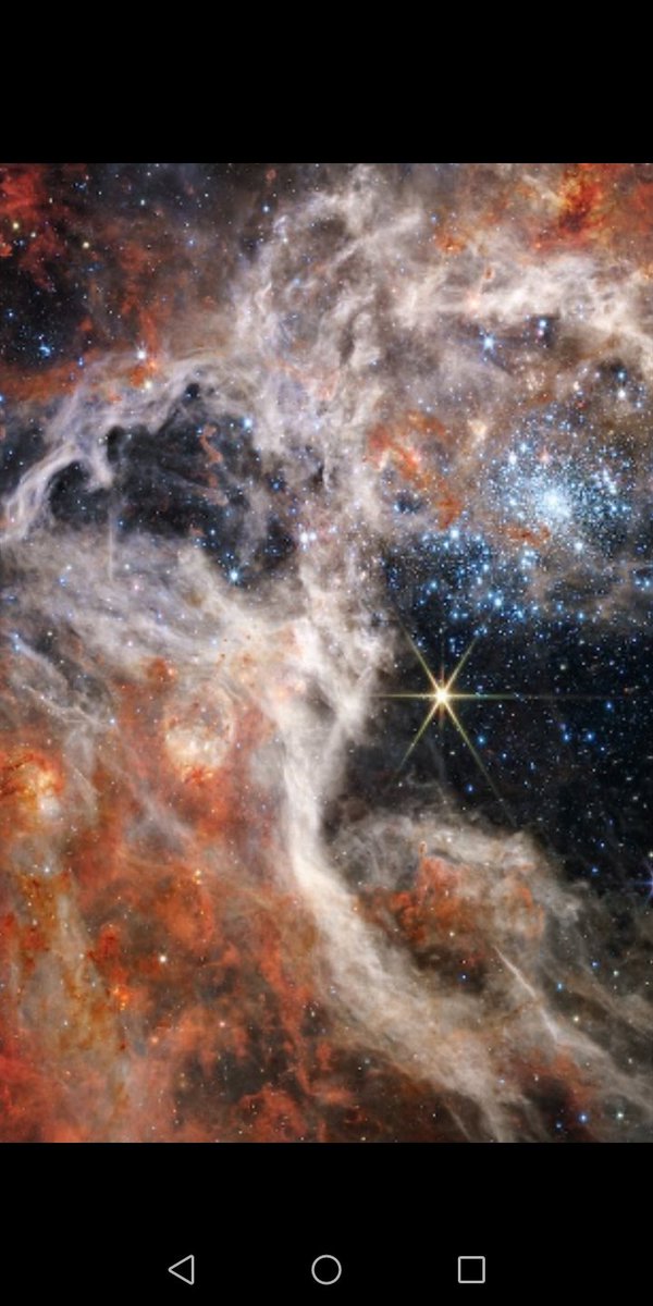 maiz_julio's tweet photo. NGC2070 Tarántula Nébula in the Large Magellanic Cloud by James Webb telescope @NASAWebb  #NASA https://t.co/X16QTlerLz