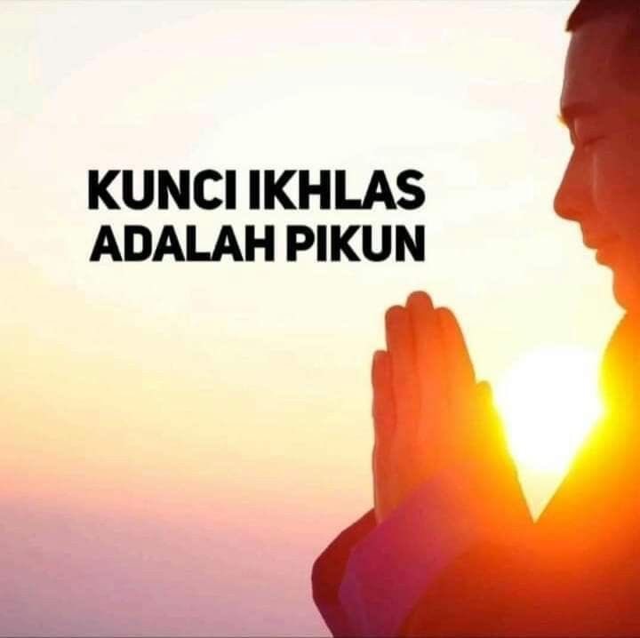 flashyield's tweet image. sepicilis