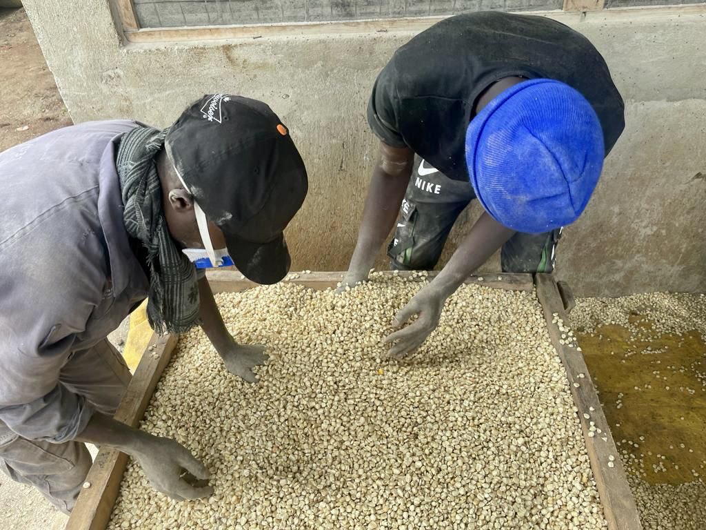 Dominique Isabelle Hyde tweet media