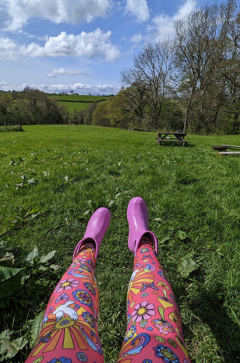 Shells_Travels's tweet image. Happy Wednesday!