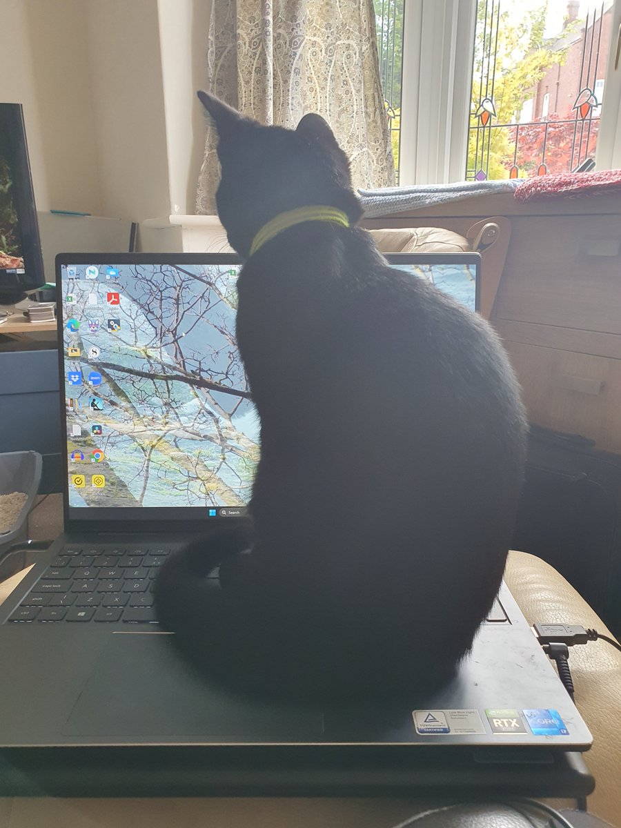 AdaraWrites's tweet image. Update: Size comparison to 3 weeks ago. Happy to report I've learnt the importance of turning off autosave since this post. Also, acquired a laser pen. 😆

#WritingComnunity #AmWriting #AmEditing