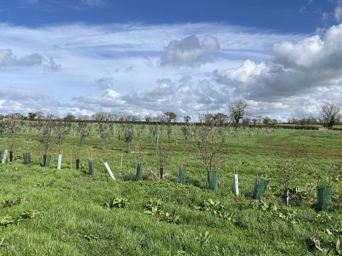 As part of the <a href="/AFOpenWeekend/">Agroforestry Open Weekend</a> we have a great group of participating farms down in the SW! #agroforestry is great for #naturefriendlyfarming as <a href="/FWAGSouthWest/">FWAG SouthWest</a> know! Thanks for being involved!