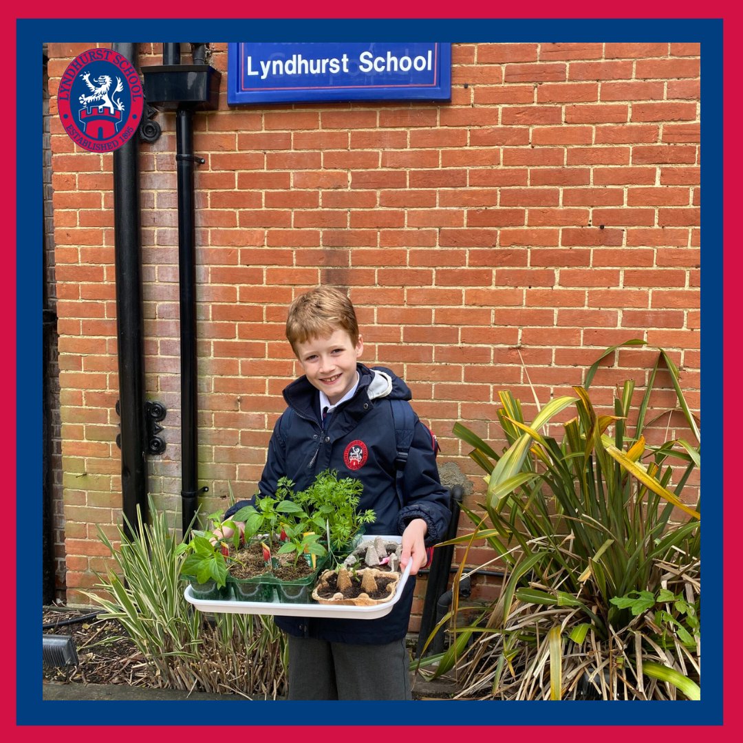 lyndhurstsurrey's tweet photo. A big thank you to all of the children and parents who contributed towards to @MariaMannanCoop Co-op’s Spring Challenge to support #YateleyIndustries Community Pantry Garden Project. The seedlings that were kindly donated will all be planted in the community garden. https://t.co/Sz7eyaWUTb
